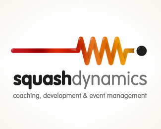 Squash Dynamics