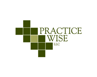 Practice Wise Consulting