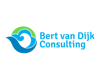 Bert van Dijk Consulting