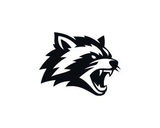 Raccoon logo