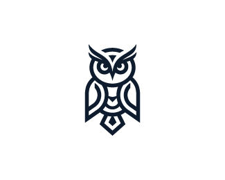 Geometric Owl Logo