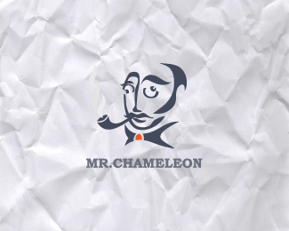 MR.CHAMELEON