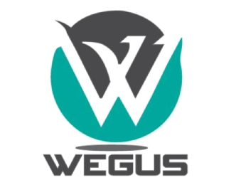 Wegus Infotech