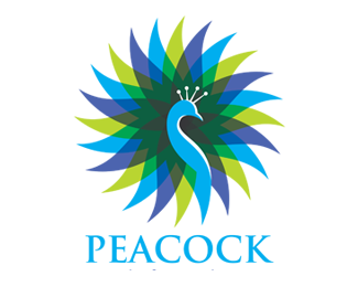 Peacock Forest Colors Logos for Sale