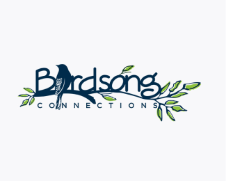 Birdsong Connections
