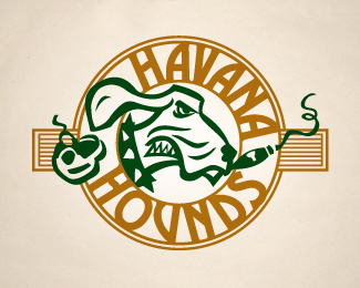 Havana Hounds Hockey Team