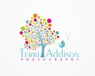 Terri Addison Photography
