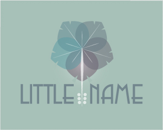 Little Name