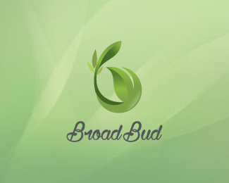 Broad  Bud