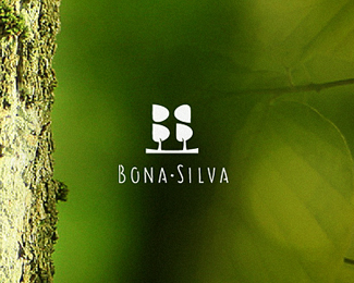 Bona Silva