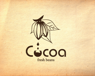 fresh cocoa beans