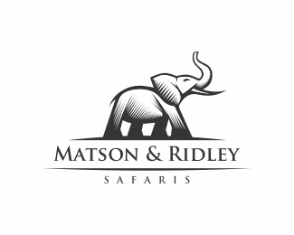 Matson & Ridley Safaris