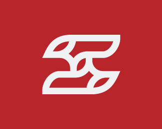 Elegant Letter S Logo