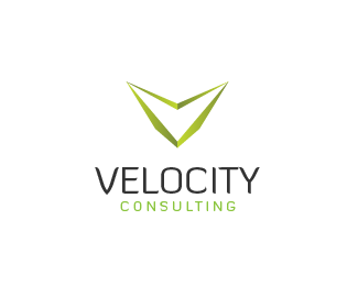 Velocity Consulting