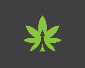 Marijuana Cannabis Investment