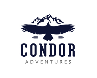 Logo design for Condor Adventures