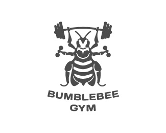 Bumblebee gym