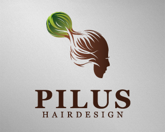 Pilus Hairdesign