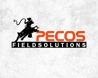 Pecos Field Solutions