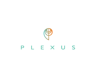 Plexus Post