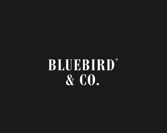 BlueBird and Co.