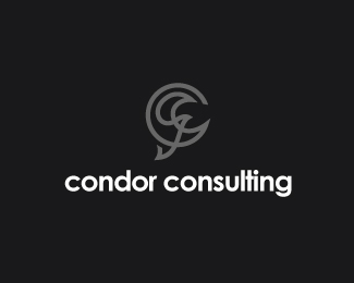 Condor Consulting