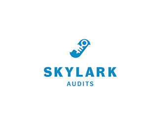 Skylark Audits