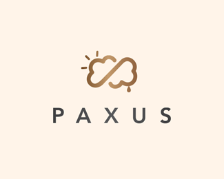 Paxus Financial