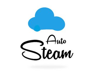 auto steam
