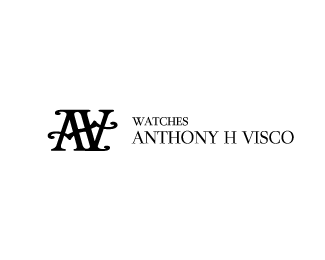 ANTHONY H VISCO
