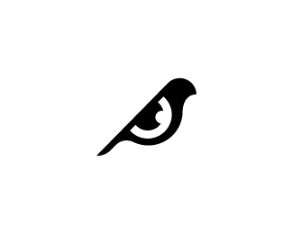Bird + Eye