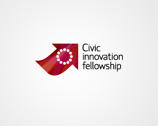 Civic innovation fellowship