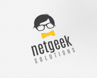 NetGeek Solutions
