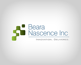 Beara Nascence Inc