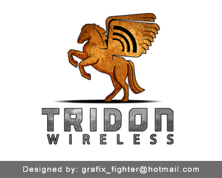 Tridon Wireless