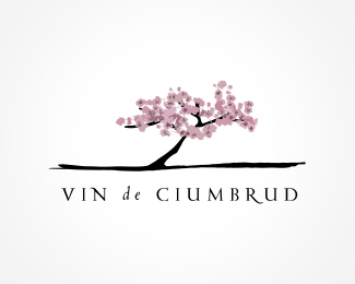 Vin de Ciumbrud (Wine of Ciumbrud)