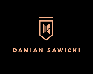 DS - Damian Sawicki
