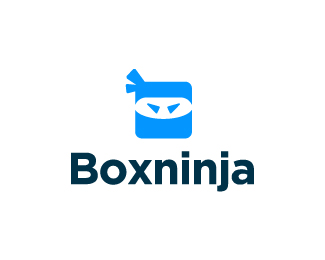 Boxninja Logo Design