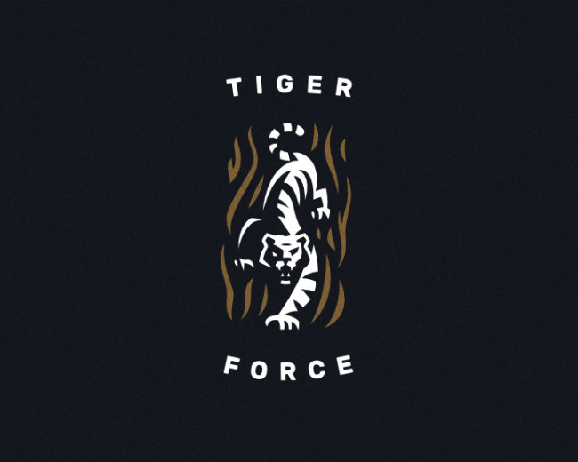 Tiger force