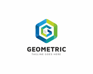 Geometric G Letter Hexagon Tech Logo