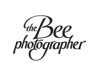 The Bee Photographer