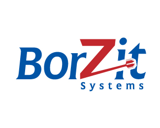BorZit Systems