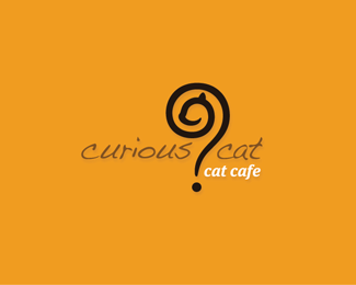 cat cafe_curious cat