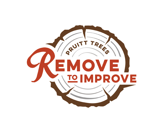 Remove to Improve