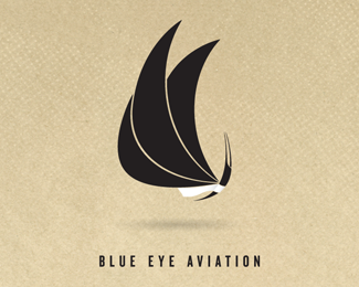 Blue Eye Aviation