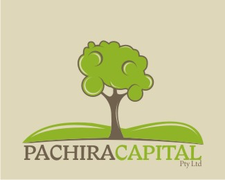 Pachira Capital Pty Ltd