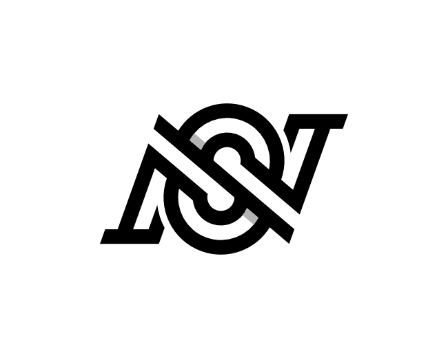 Letter NS SN Logo