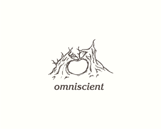 omniscient