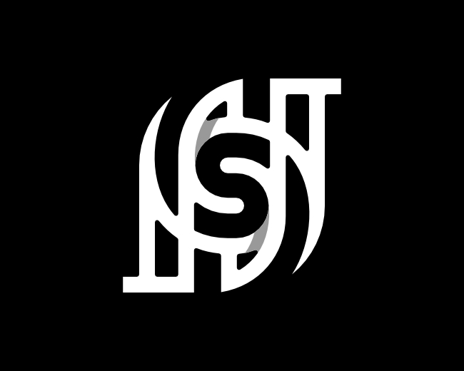 Letter SN NS Logo