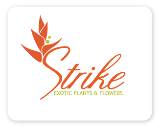 Strike Exotic Plants & Flowers